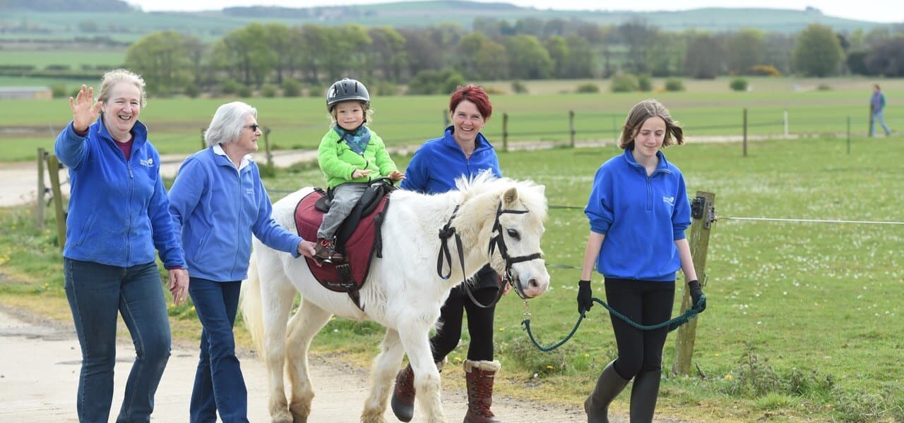 Equine Facilitated Therapy | Muirfield Riding Therapy